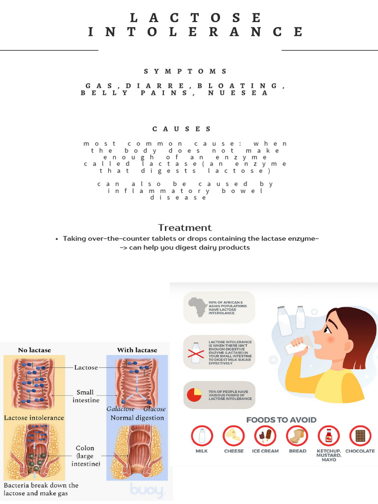 Bio Lactose Intolerance | PDF