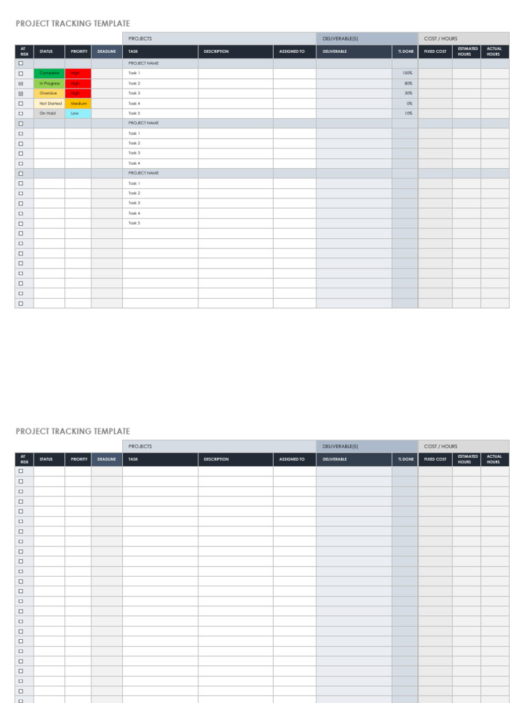 Project Tracking Template Overview | PDF