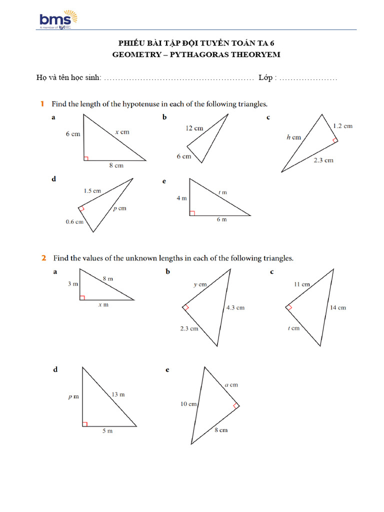 Pythagoras' Theoryem Worksheet | PDF