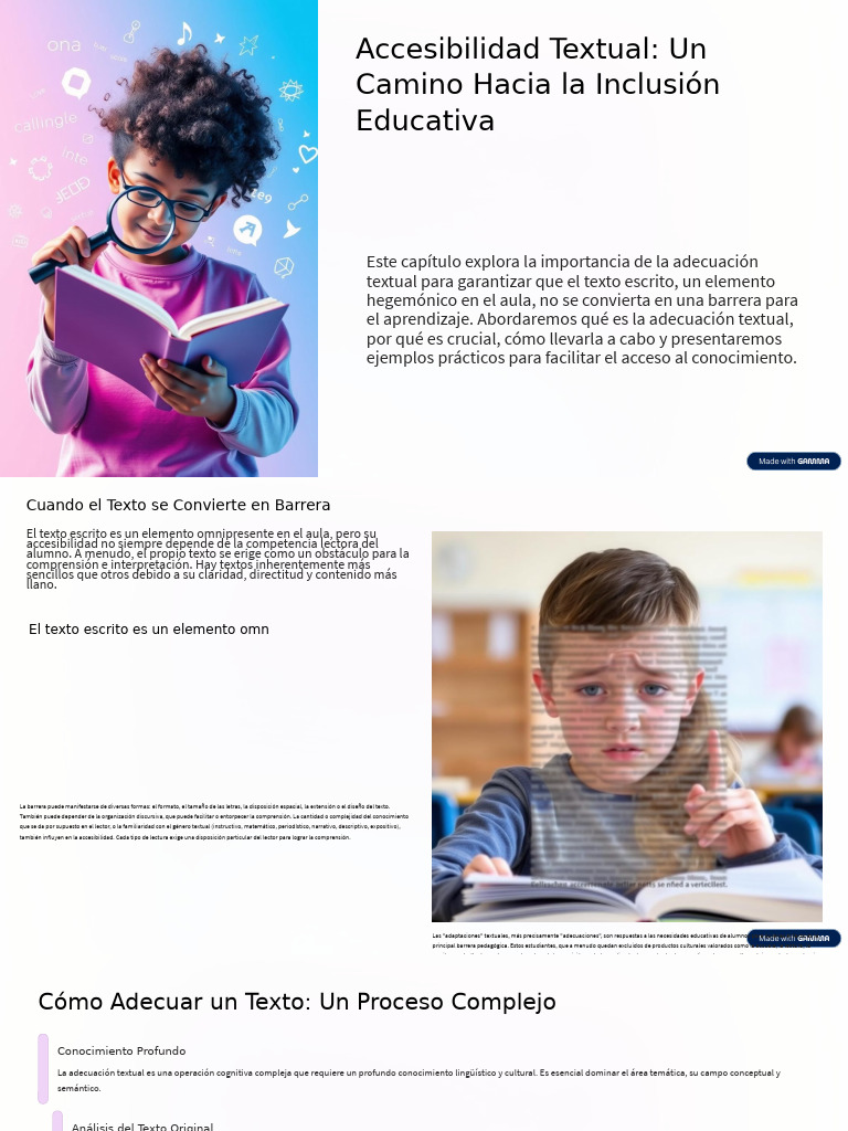 Accesibilidad Textual Un Camino Hacia La Inclusion Educativa | PDF ...