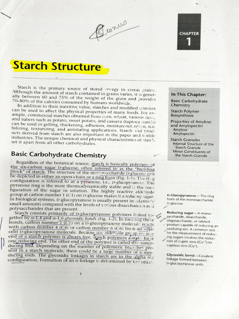 Starch Structure | PDF