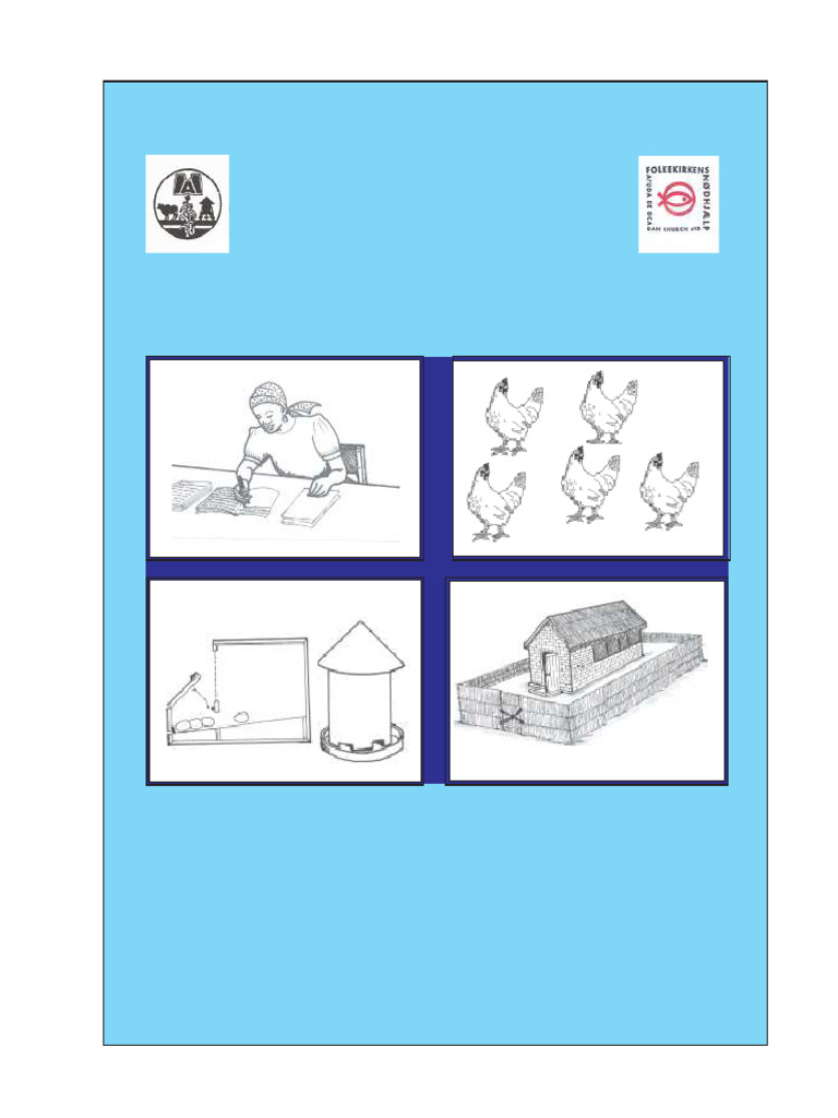 Poultry Egg Production Manual | PDF | Poultry Farming | Chicken