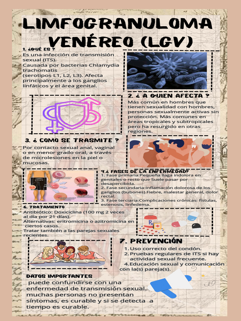 Limfogranuloma Venéreo: Guía Esencial | PDF