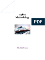 Agilex Methodology