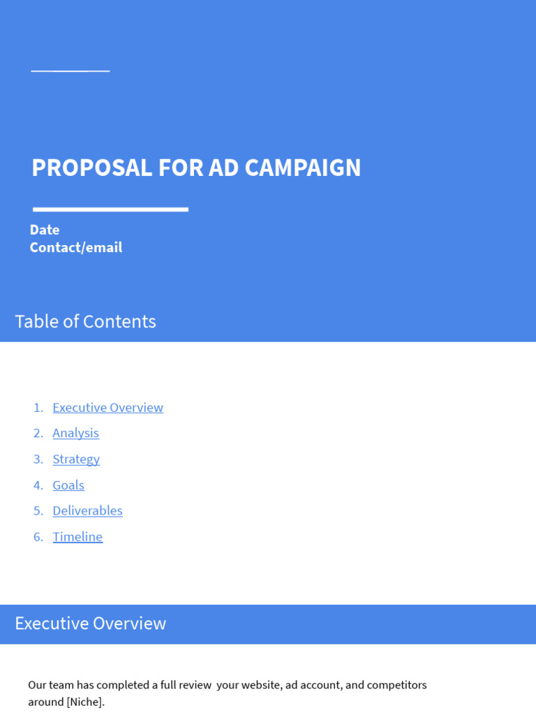 Template 038 - Ads Campaign Strategy Proposal For Client | PDF ...