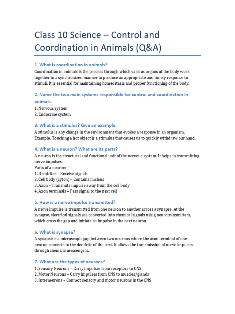Control and Coordination in Animals | PDF | Neuron | Stimulus (Physiology)