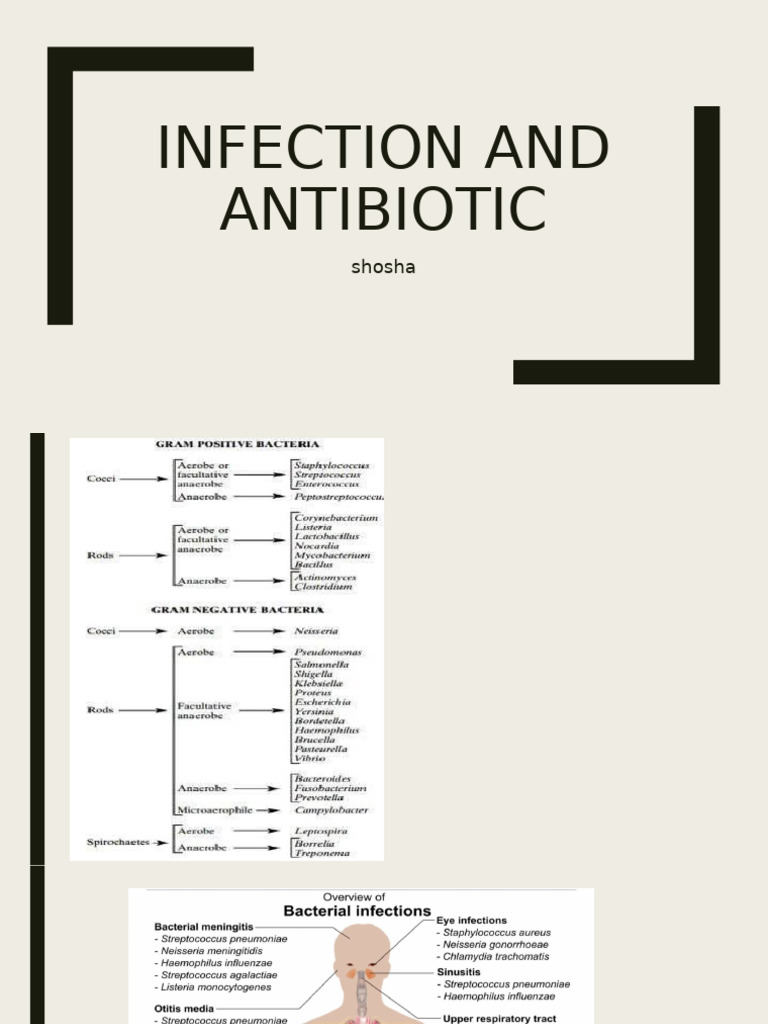 Infection and Antibiotics | PDF | Methicillin Resistant Staphylococcus ...
