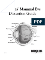 Mammal Eye Dissection