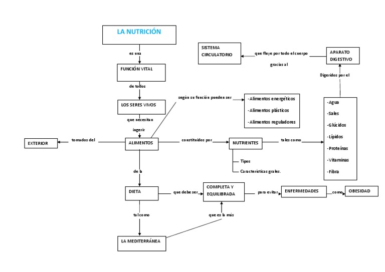 mapa conceptual la nutrición.