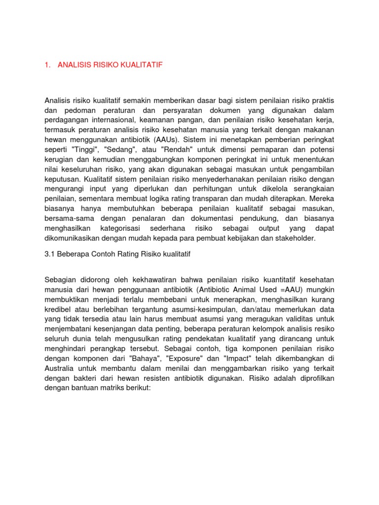 Analisis Kualitas Risiko 2010