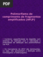 Download Aula Curso AFLP-Kel by Kel E Gu SN90803261 doc pdf