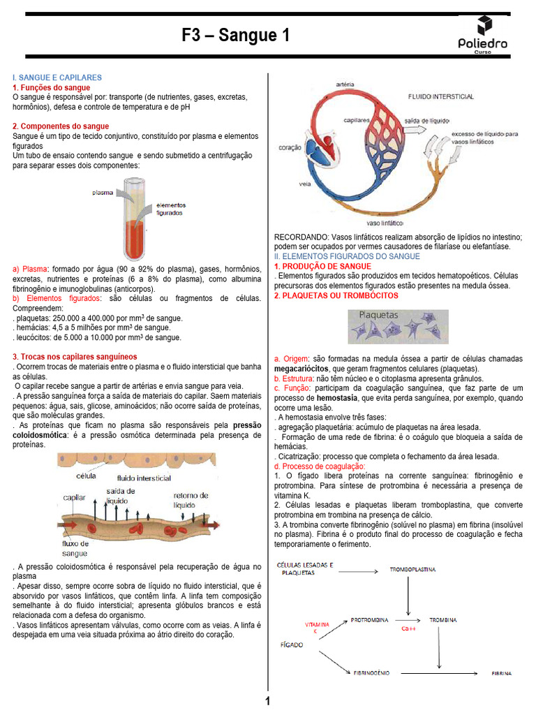 Funções e Componentes do Sangue | PDF | Sangue | Plasma sanguíneo