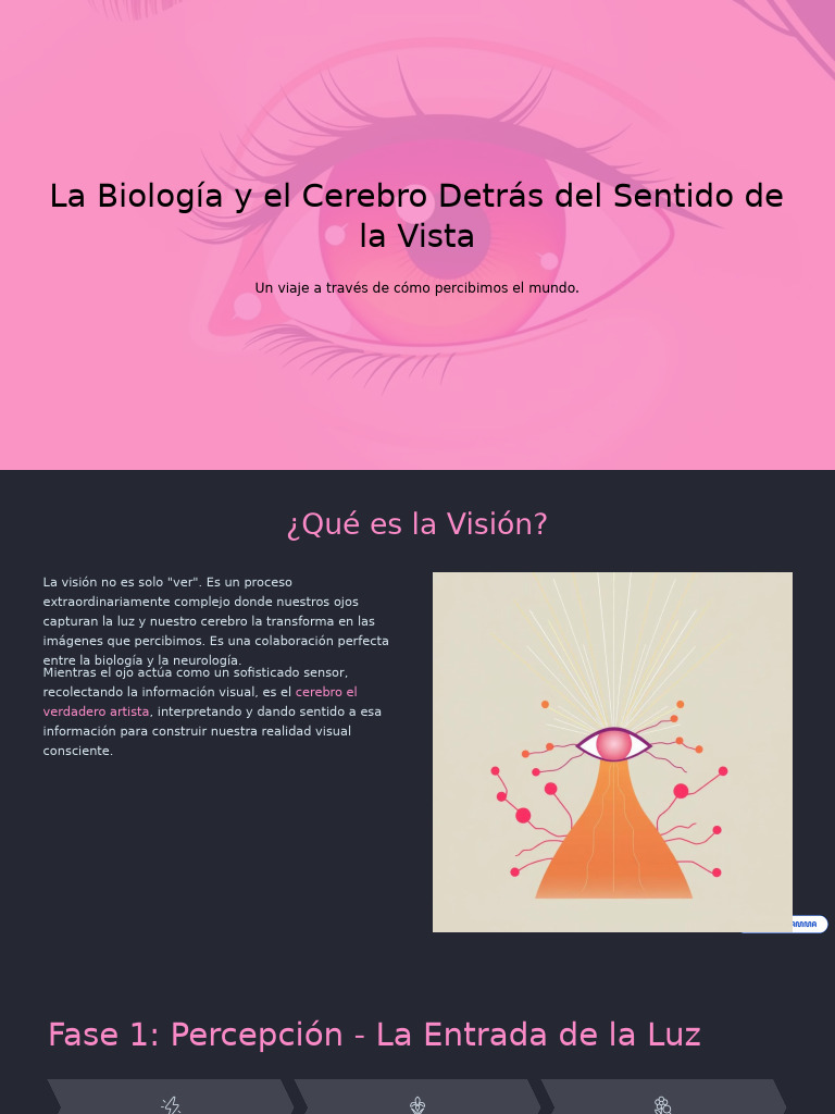 Biología y Procesos de la Visión | PDF | Percepción visual | Ojo