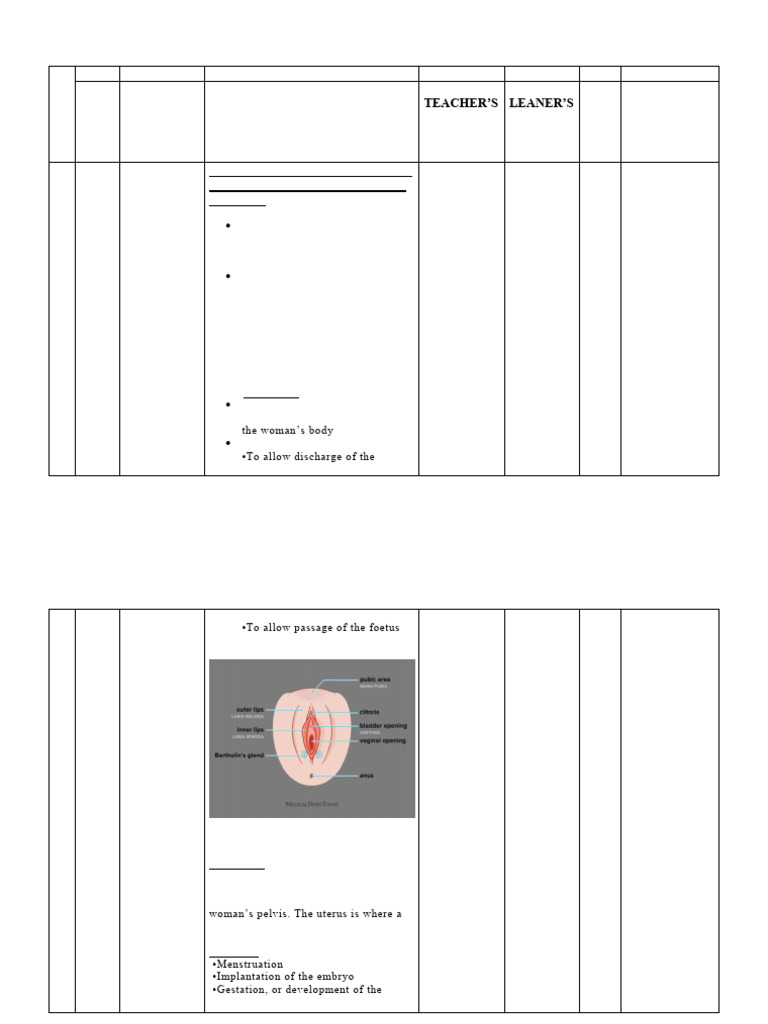 PCOD | PDF | Polycystic Ovary Syndrome | Menstrual Cycle