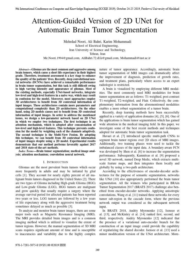 2D UNet with Attention for Tumor Segmentation | PDF | Image ...
