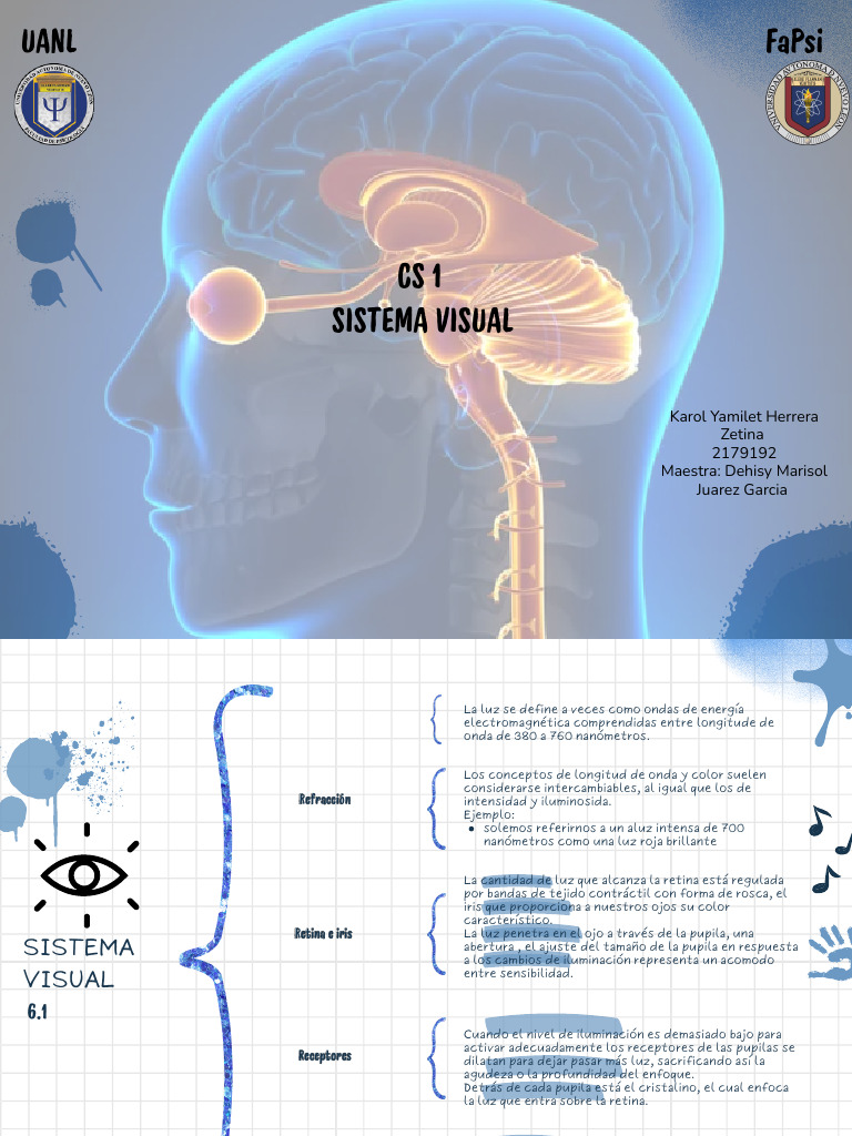 Sistema Visual: Refracción y Procesamiento | PDF | Percepción visual ...