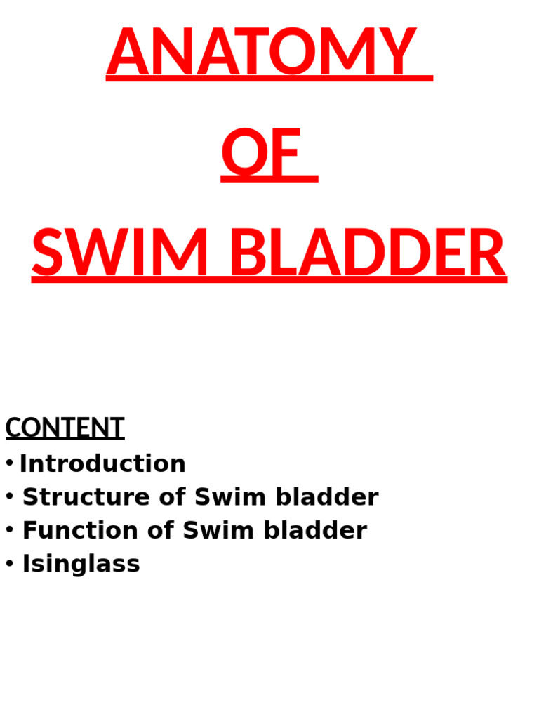 Anatomy of Swim Bladder | PDF