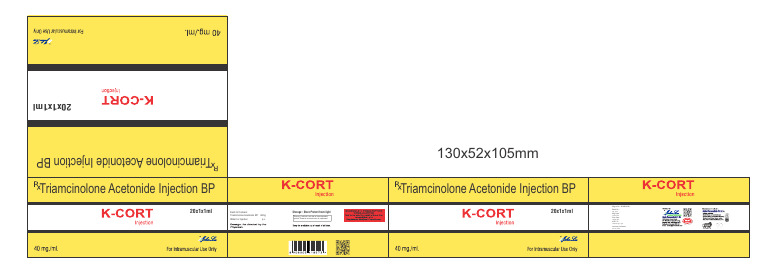 K-Cort Injection Details and Storage | PDF