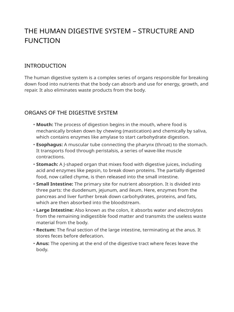 Human Digestive System Overview | PDF | Digestion | Human Digestive System