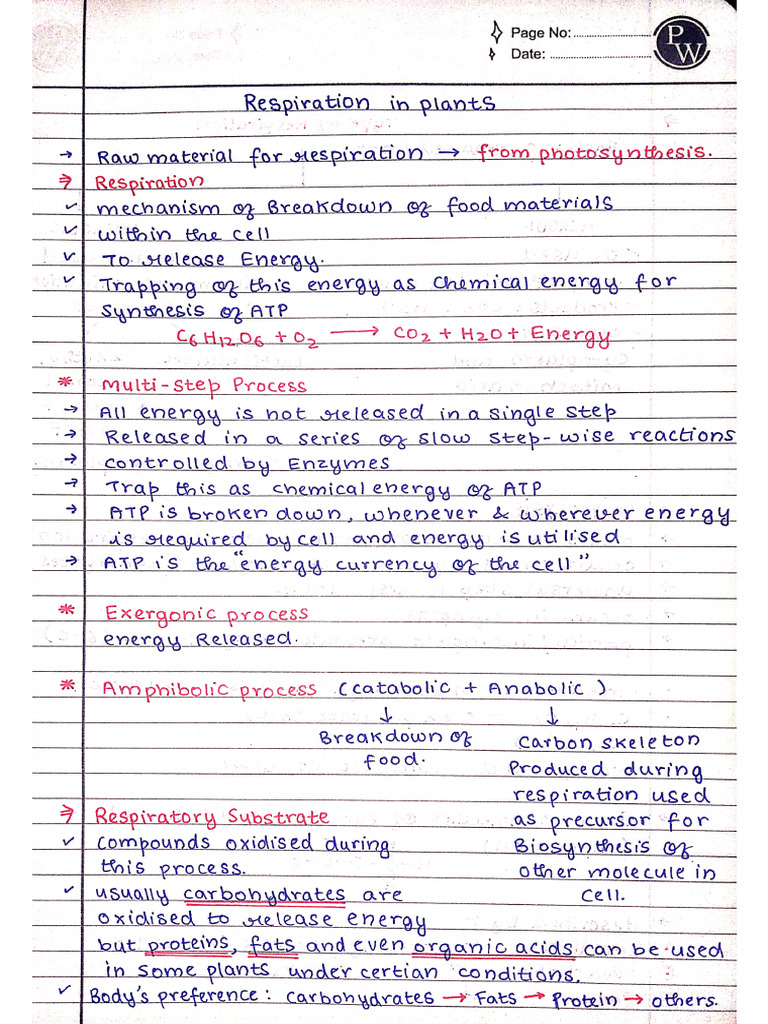 Respiration in Plants - Handwritten Notes - Yakeen 3.0 2024 | PDF