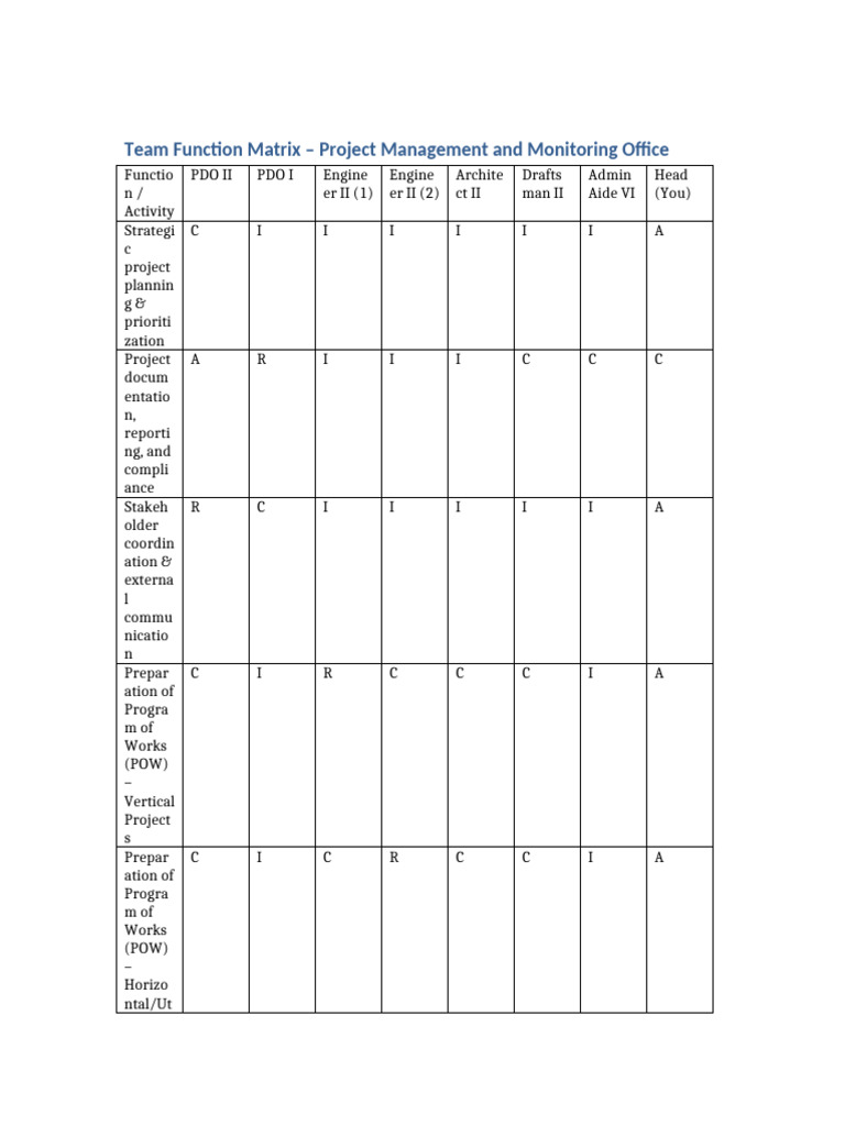 Project Management Team Function Matrix | PDF