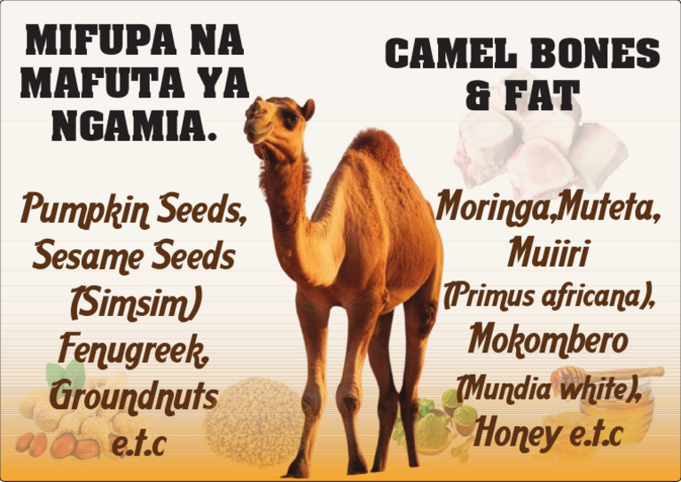 Ngamia: Camel Bones and Fat Uses | PDF