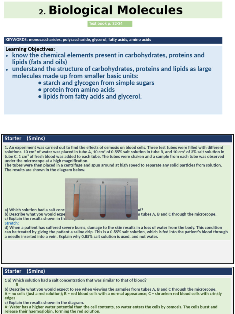Biological Molecules and Their Functions | PDF | Carbohydrates | Enzyme