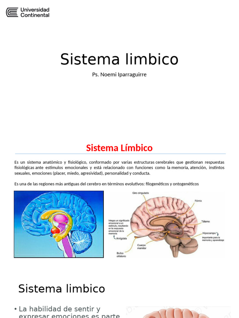 Funciones y Estructuras del Sistema Límbico | PDF | Sistema límbico ...