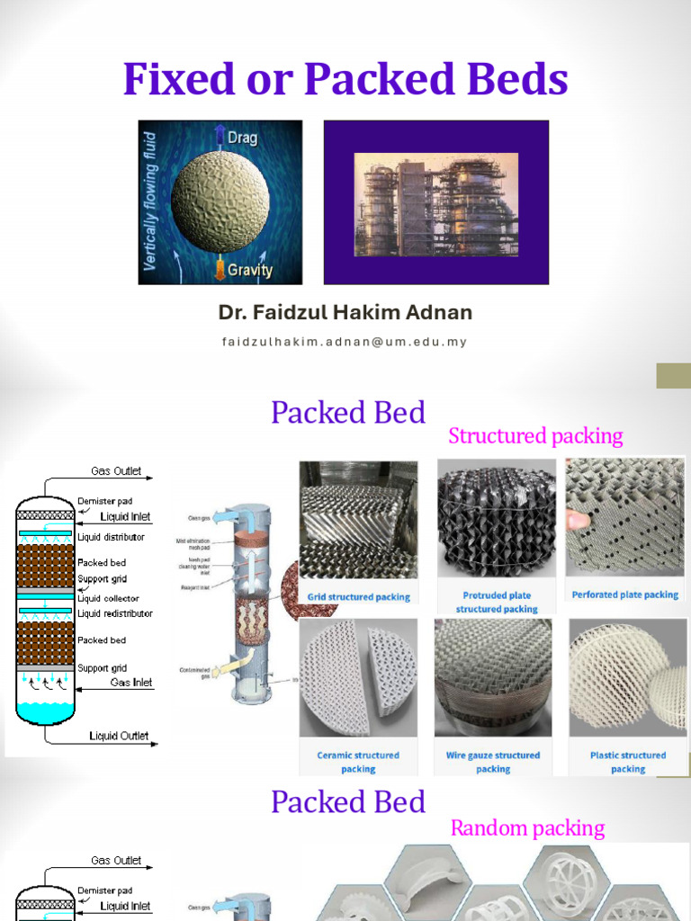 Understanding Packed Bed Dynamics | PDF | Fluid Dynamics | Turbulence