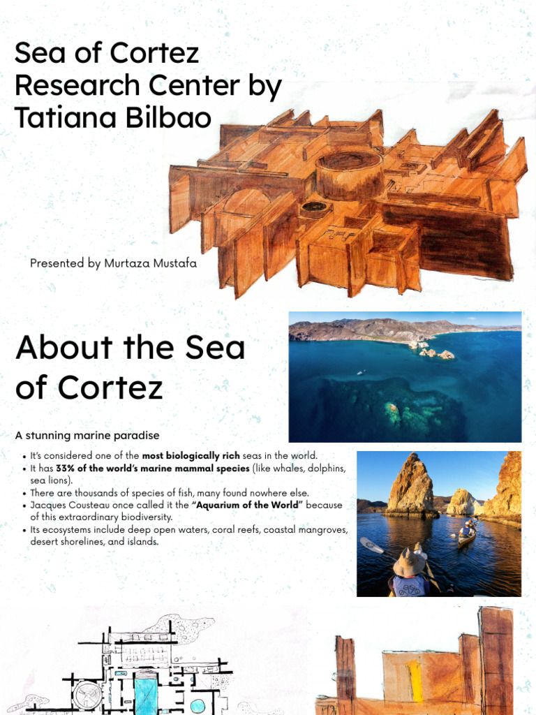 Presentation - Discover The Wonders of The Sea - 20250823 - 022151 ...