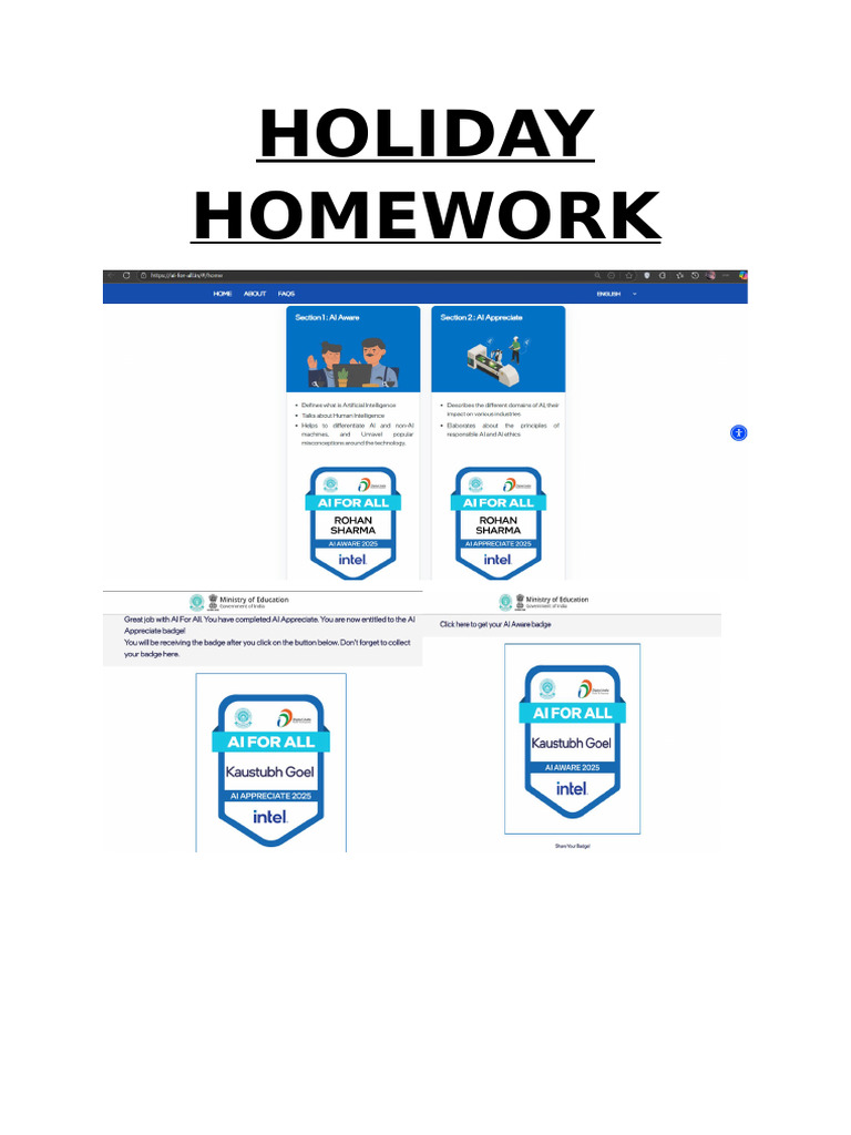 Holiday Homework (Ai) | PDF