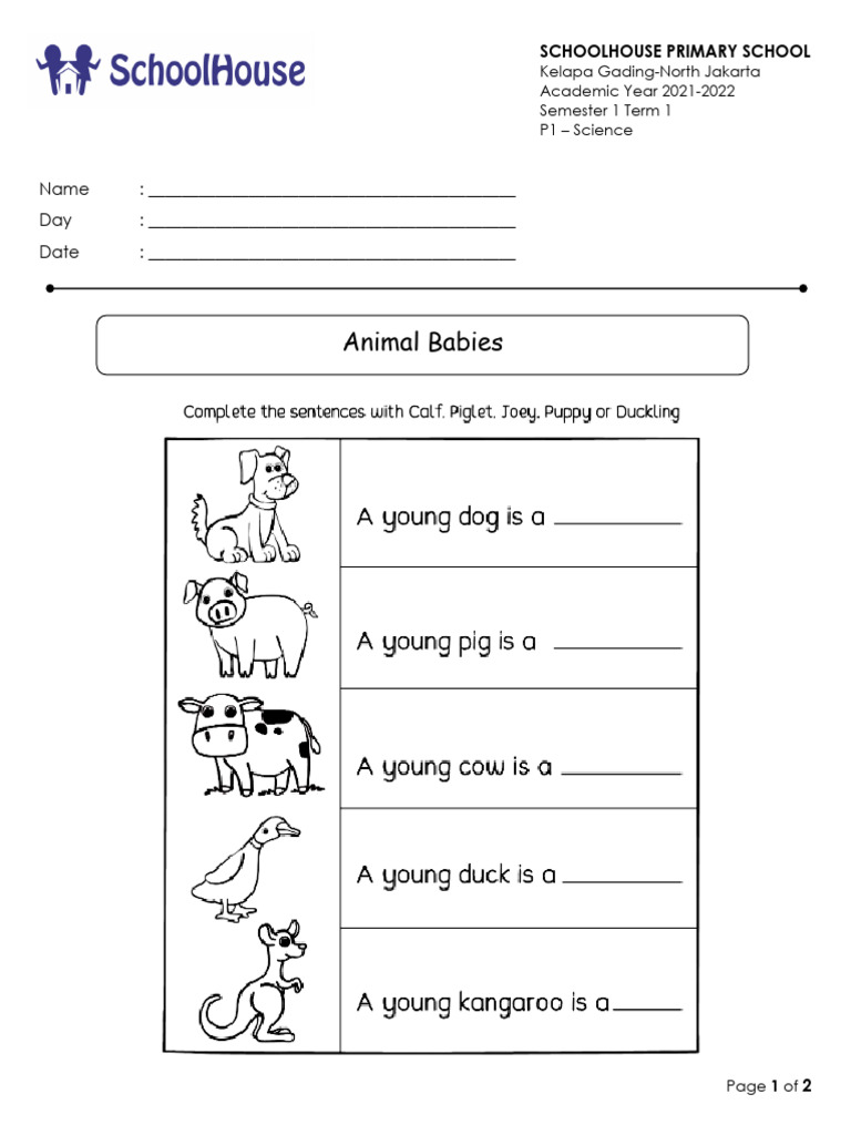 Science WS 3 | PDF