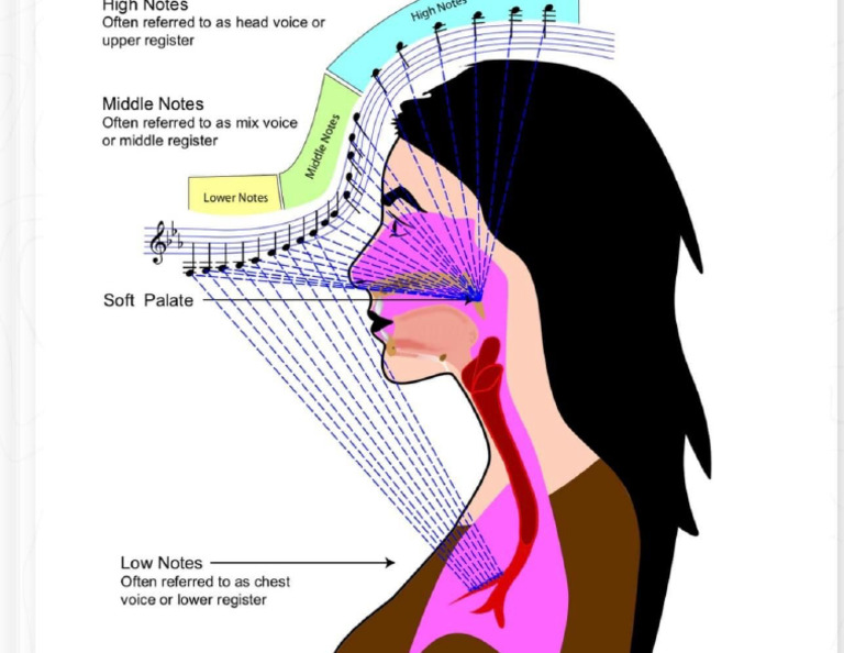 Singing Sensation or Placement | PDF