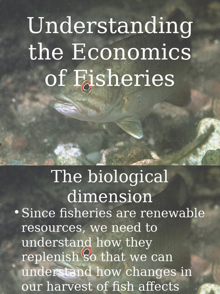 Economics of Sustainable Fisheries | PDF | Economics | Economies