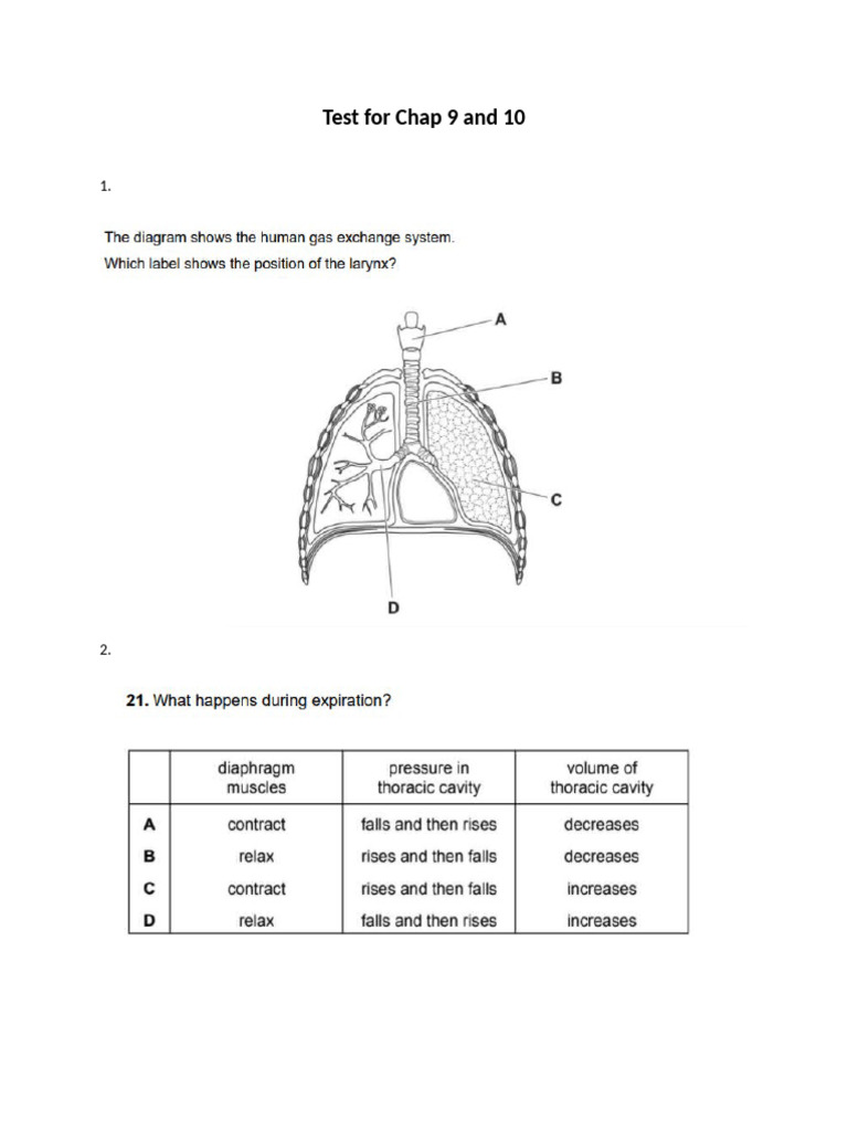 Chap 9 and 10 Test | PDF