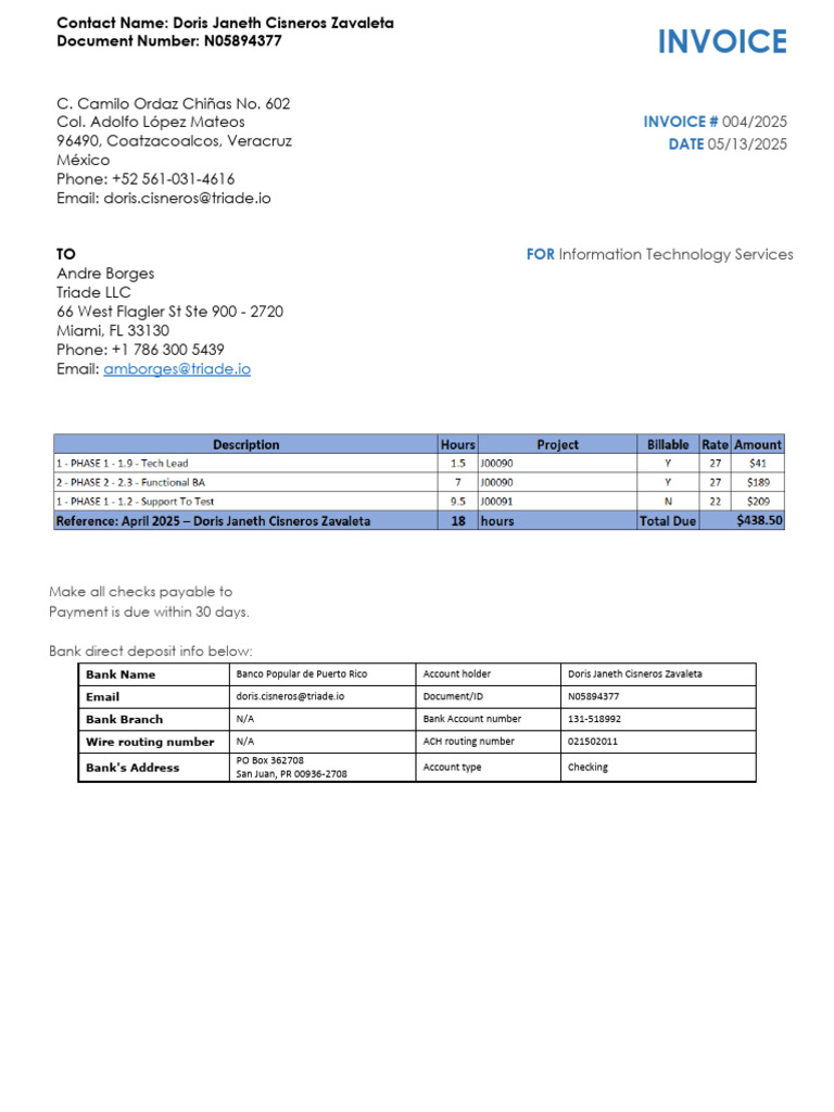 Invoice for IT Services - Triade LLC | PDF