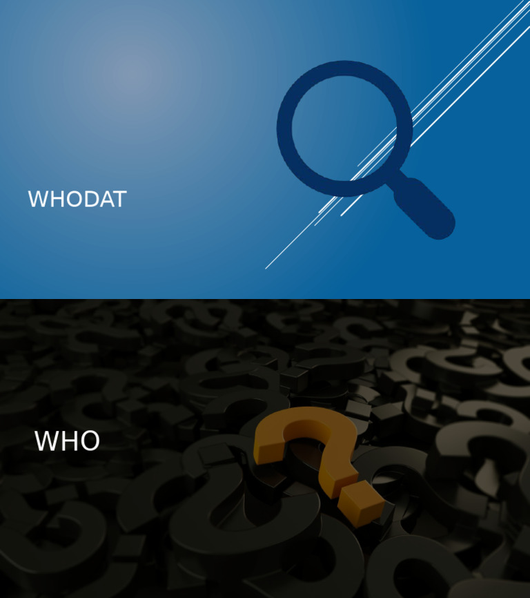Whodeez | PDF