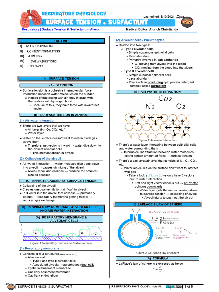 Surface Tension and Surfactant in Alveoli | PDF | Respiratory System ...