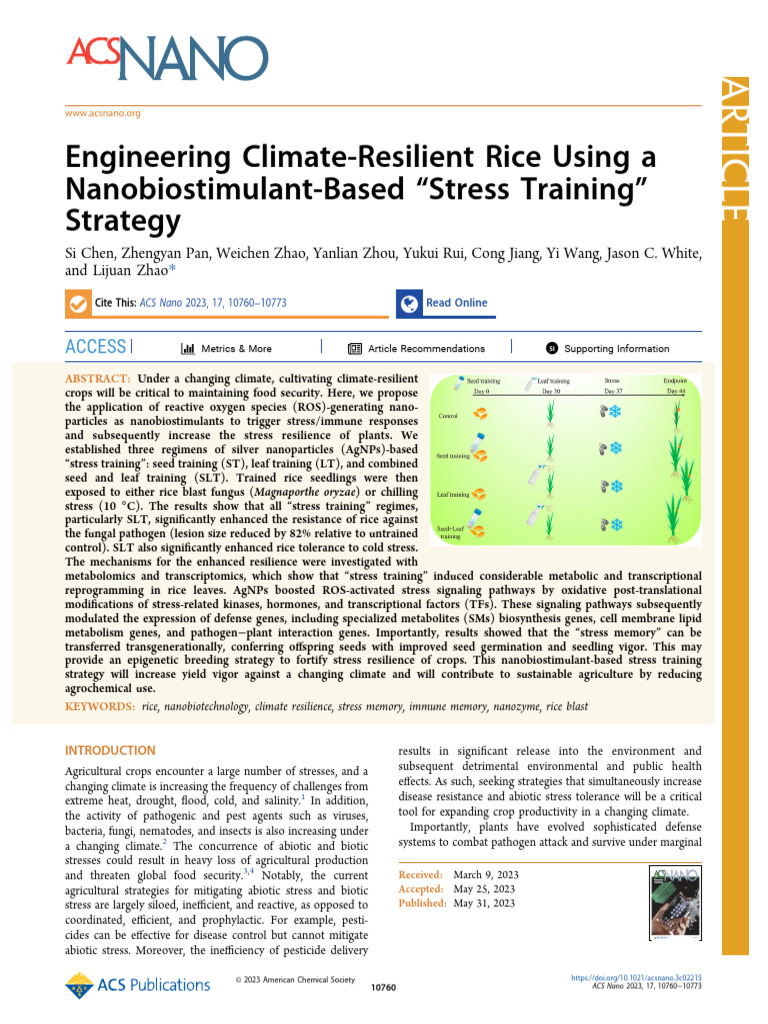 Nanobiostimulant Strategy for Rice Resilience | PDF | Rice | Biology