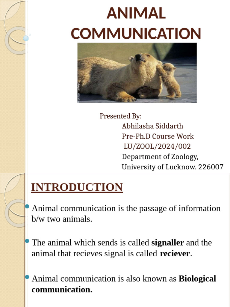 Overview of Animal Communication | PDF | Communication | Zoology