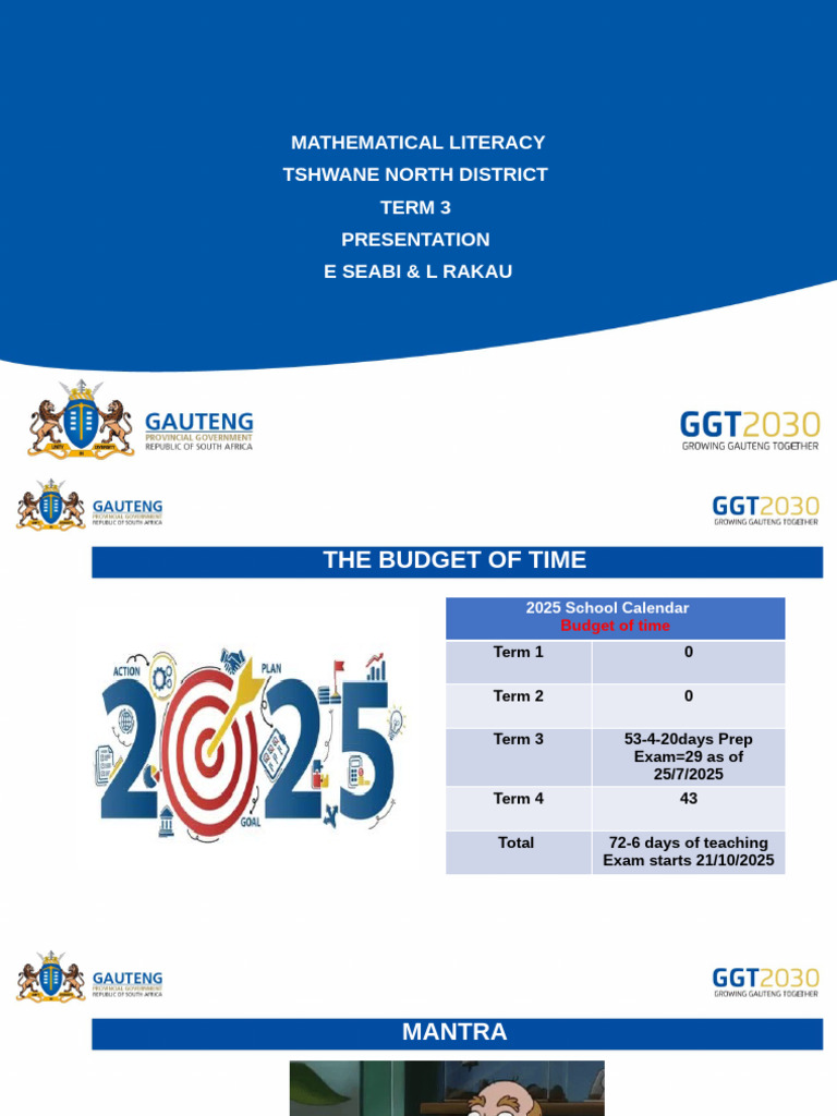 2025 Term 3 Mathematical Literacy Report | PDF