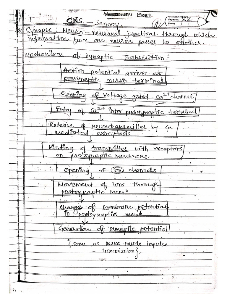 Cns Short Note | PDF