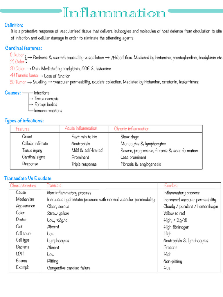 2) Inflammation | PDF | Inflammation | Endothelium