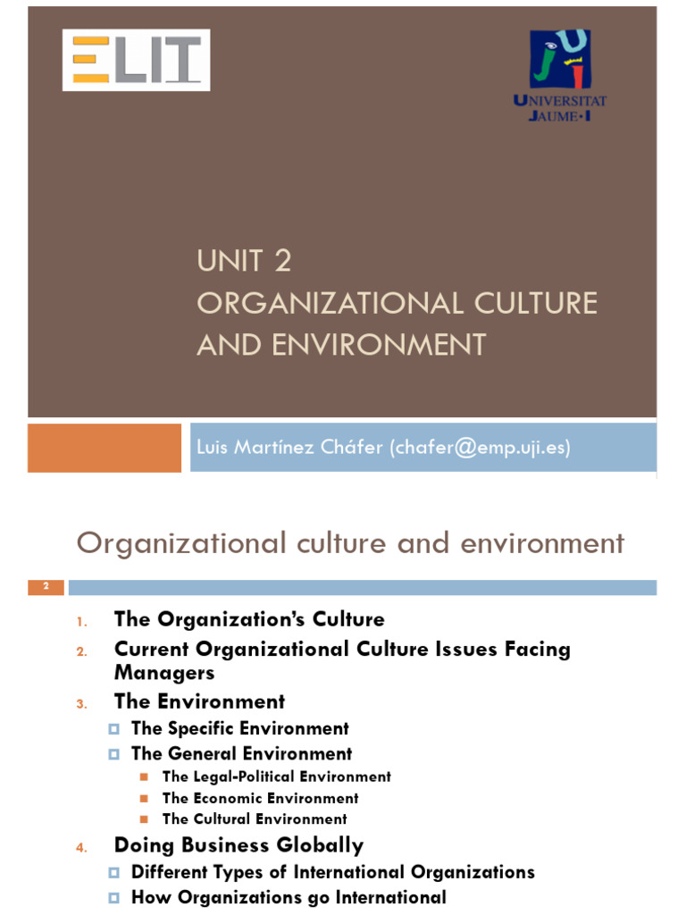 Understanding Organizational Culture & Environment | PDF ...