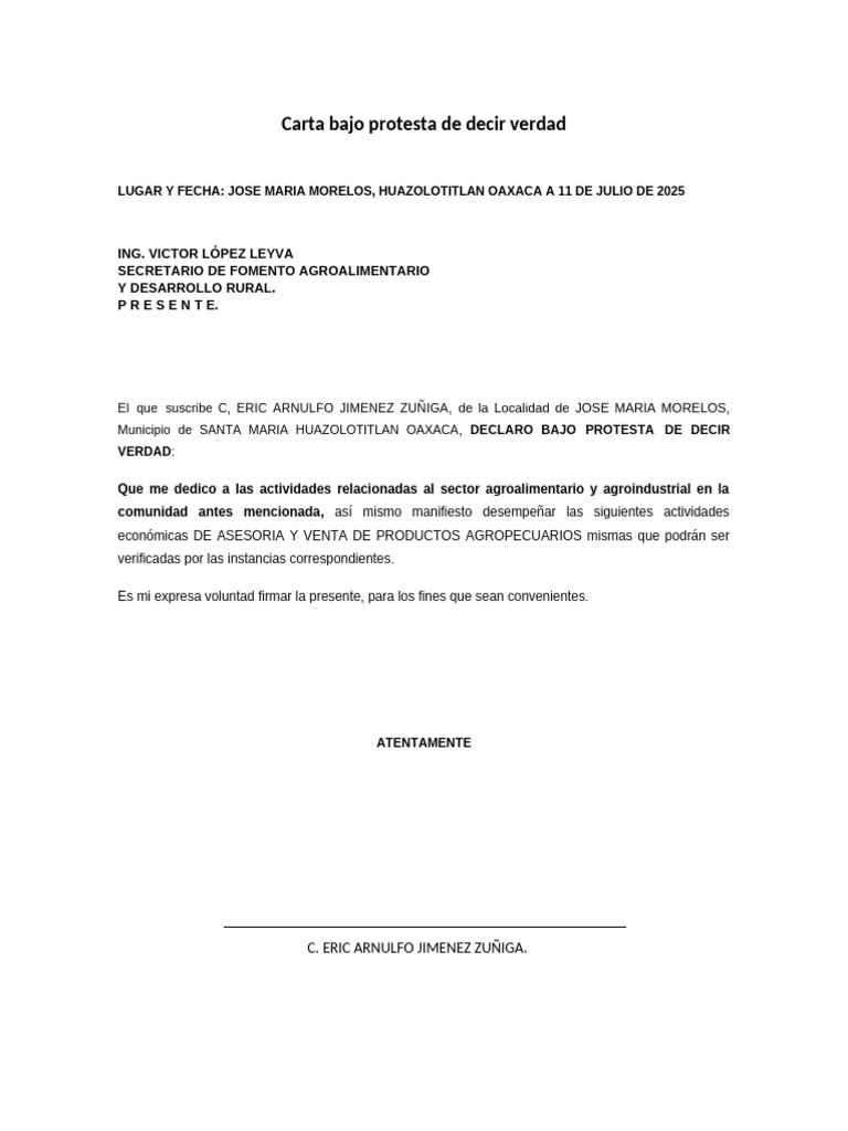 Carta Bajo Protesta de Decir Verdad | PDF
