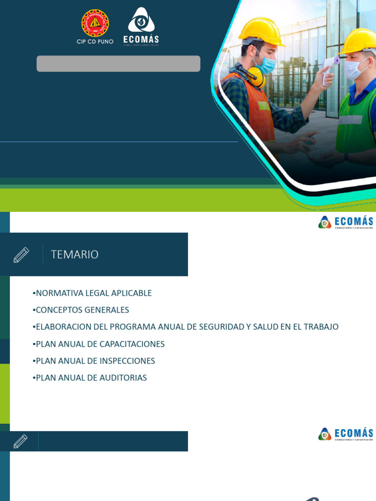Programa Anual de Seguridad y Salud en el Trabajo | PDF | Auditoría ...