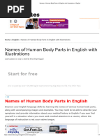 Body Parts Overview: Head to Foot | PDF