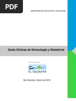 Download Guias Clinicas de Ginecologia y Obstetricia by PaYin Villatoro G SN90888061 doc pdf