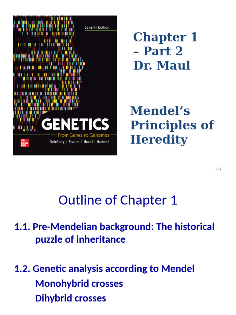 Genetics+Chapter+1+ +Part+2+for+Canvas | PDF | Genotype | Dominance ...