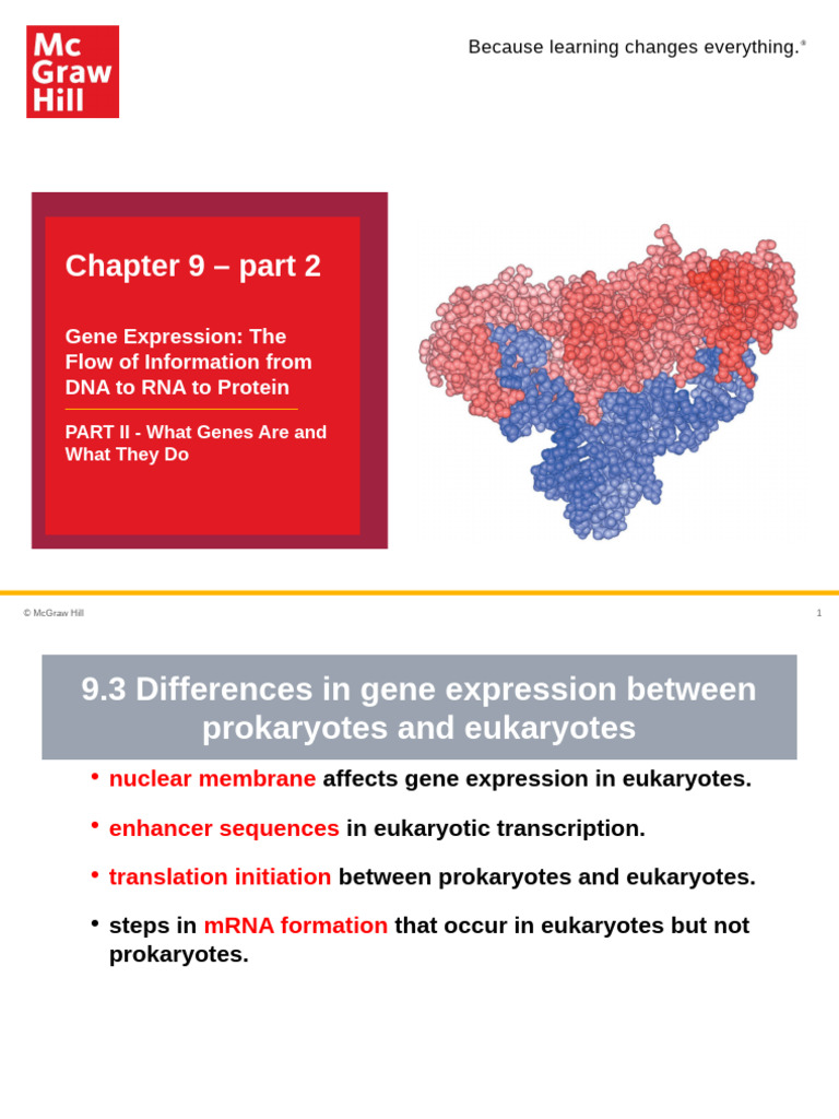 25SP+PM+Chapter+9+Sections+9 3+and+9 4+updated | PDF | Gene | Genetic Code